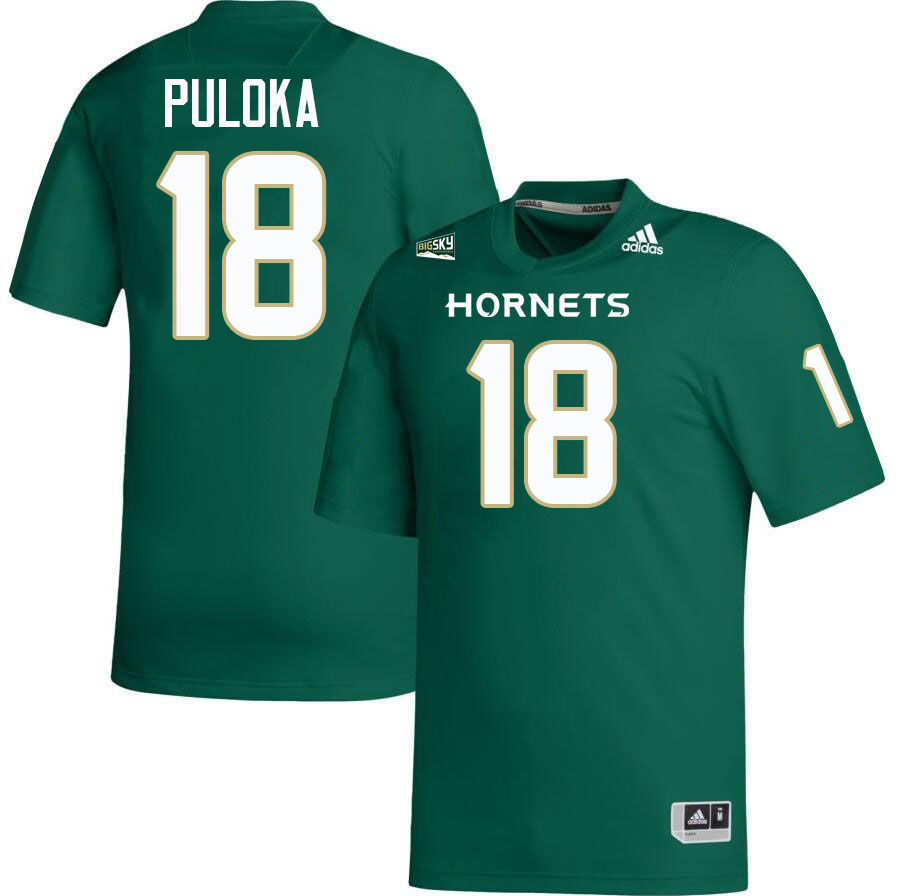 Fata Puloka SAC State Jersey,Sacramento State Hornets #18 Fata Puloka Jersey-Green